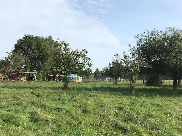 Luksusowy namiot Yurs